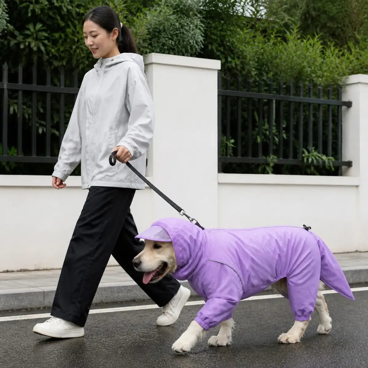 Full-Coverage Dog Rain Suit worn by a dog during an everyday outing, view 3