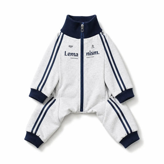 White four-leg dog coat with navy trim shown on a white background
