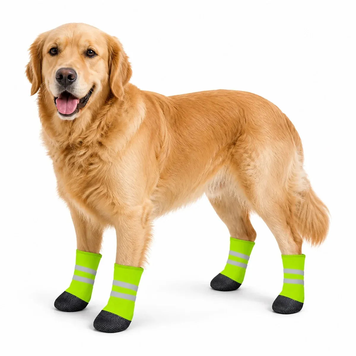 Neon Green Paw Socks for dogs, pet wearing