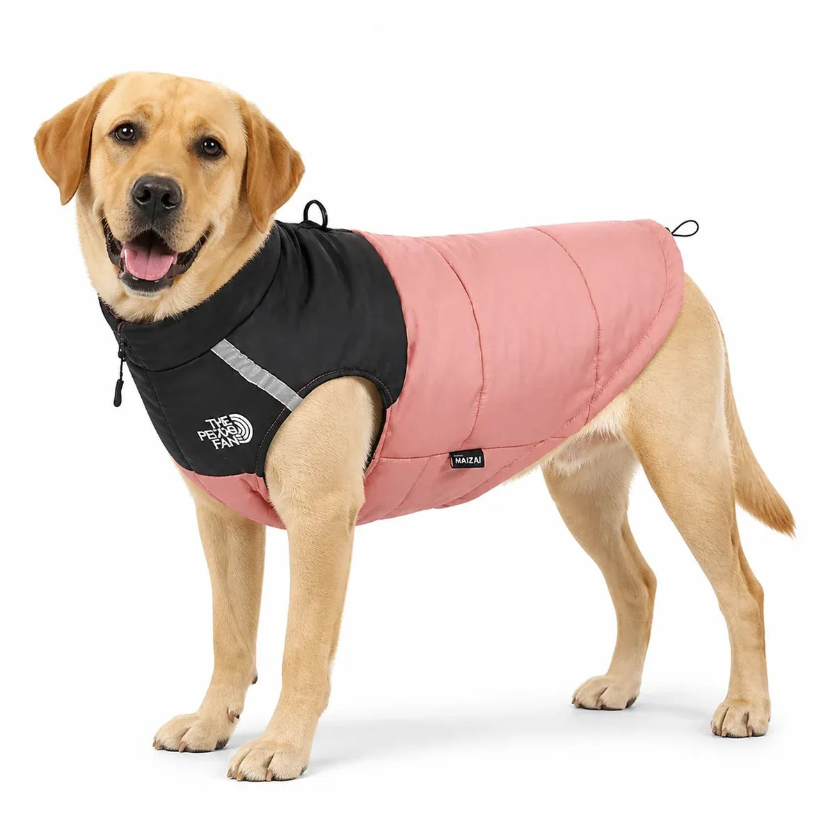 dog wearing a Pink padded dog vest