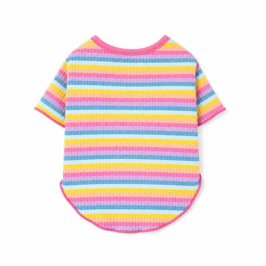 Pink Trim Rainbow rainbow striped cotton dog sweatshirt shown alone on a white background