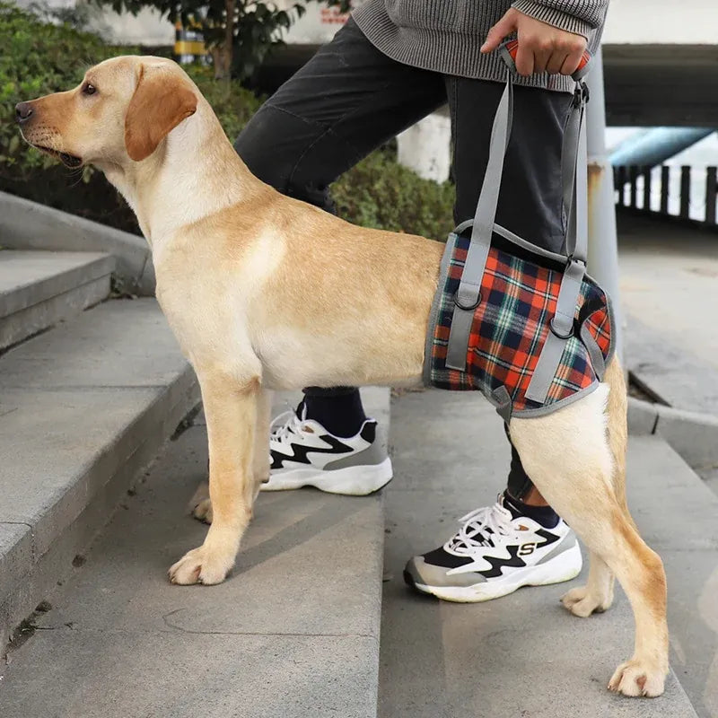 Senior Dog Rear Leg Support Harness - Gentle Mobility Support for Weak Hind Legs