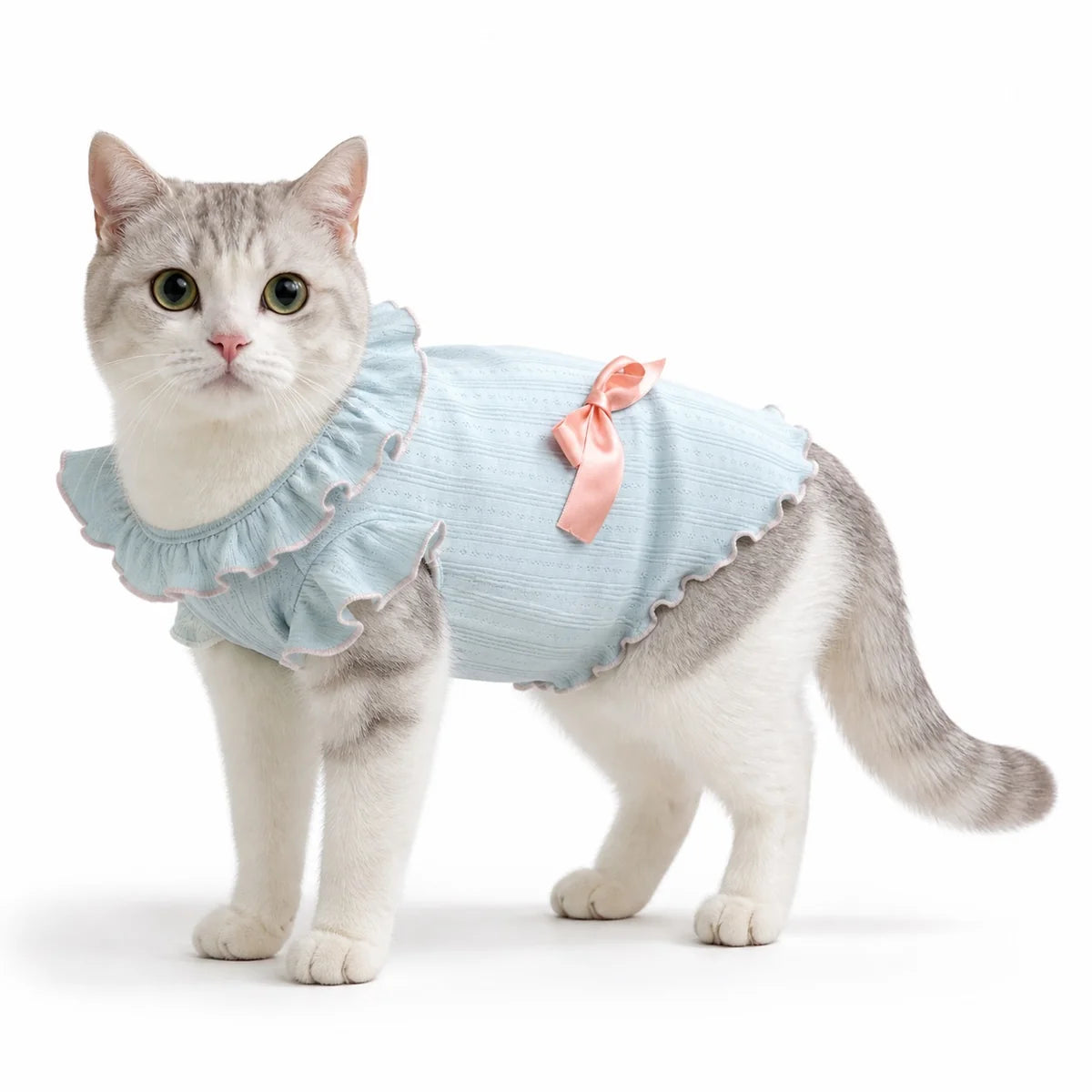 Blue two-color cat vest worn by a pet on a white background, image 3