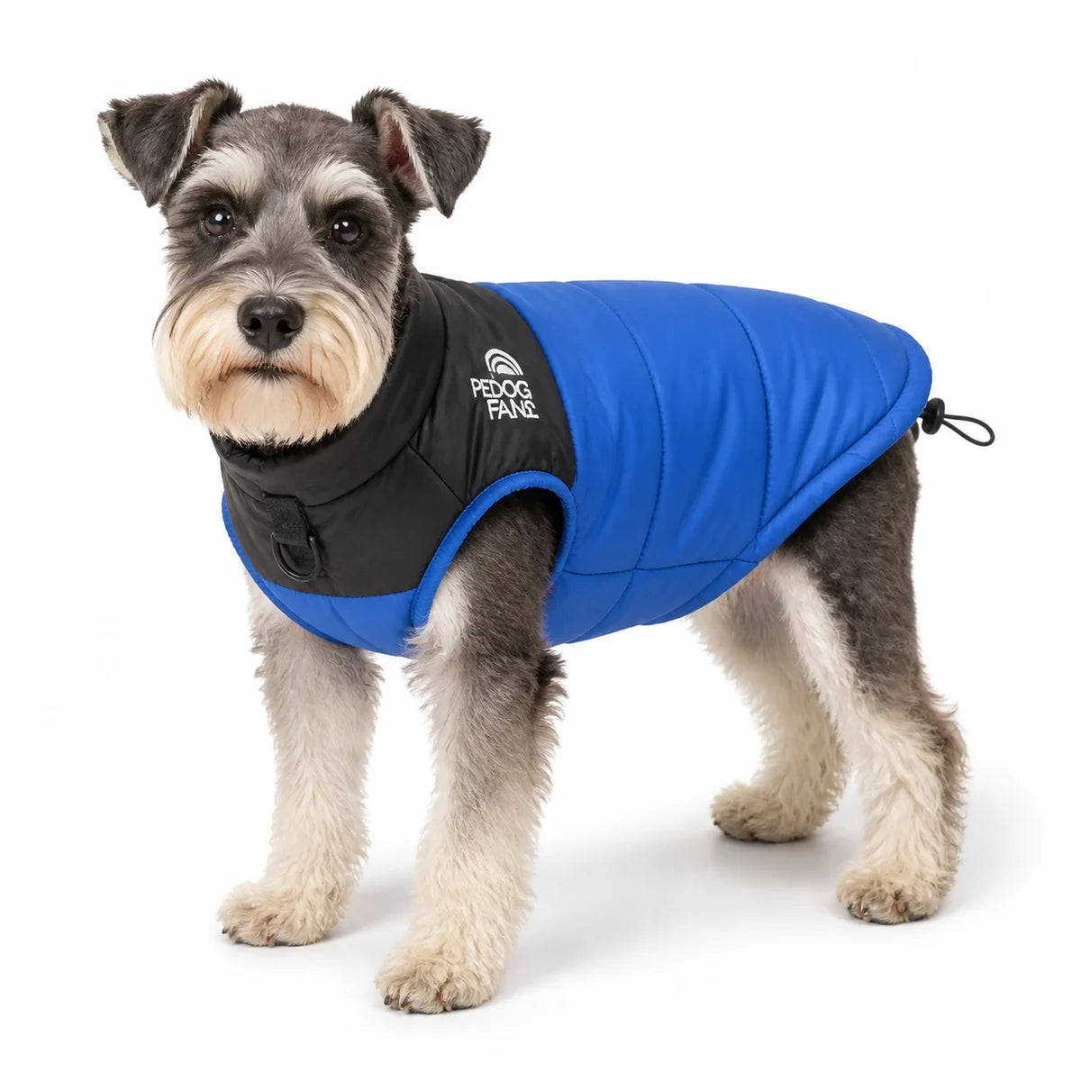 Blue water-resistant padded dog coat worn by a pet on a white background, image 6