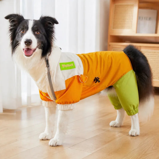 Hooded Dog Rain Jacket worn by a dog during an everyday outing, view 2