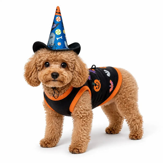 Black Halloween Pet Costume Set worn by a pet on a white background, view 4