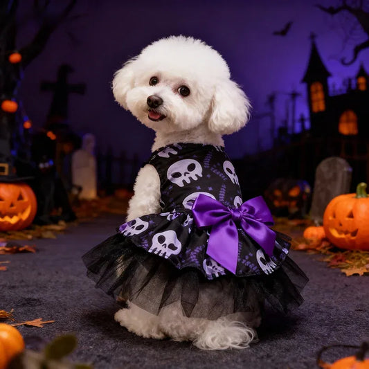 Small white dog wearing a black skull print Halloween tulle pet dress with a purple bow in a pumpkin scene