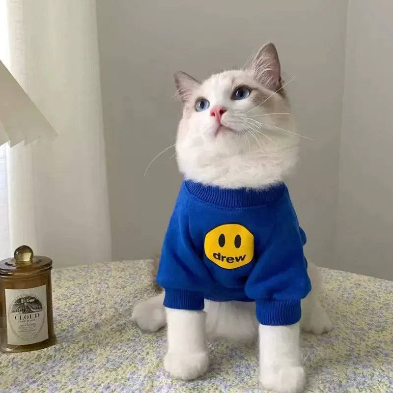 White cat wearing a blue knit sweatshirt for the WarmPawelle Everyday collection.