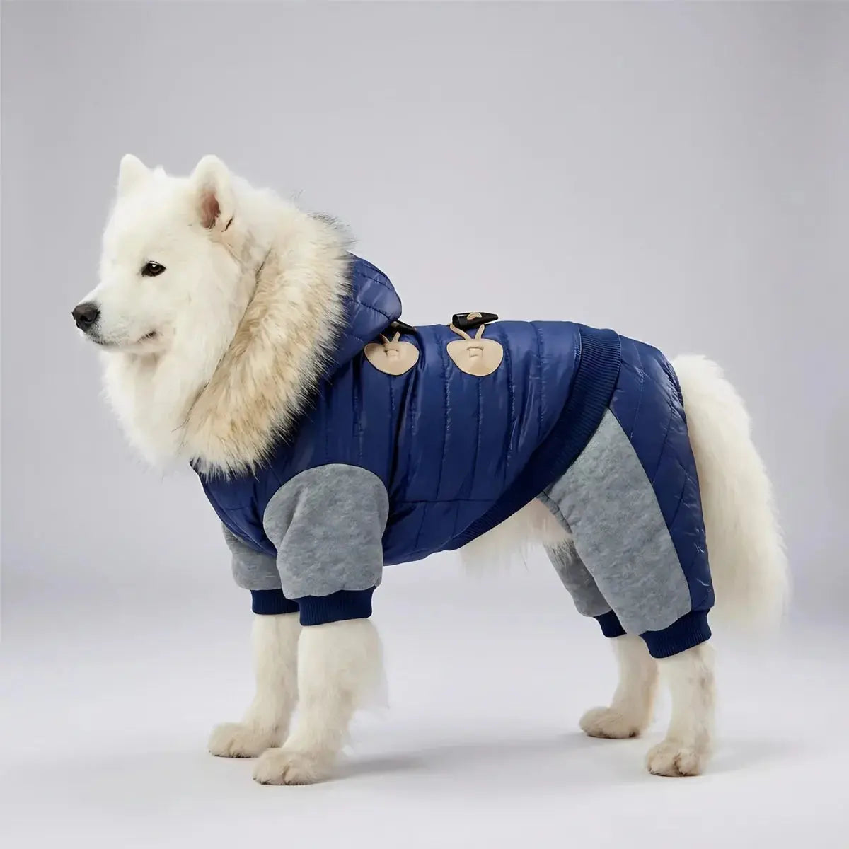 White dog wearing a navy insulated coat for the WarmPawelle Outdoor collection.