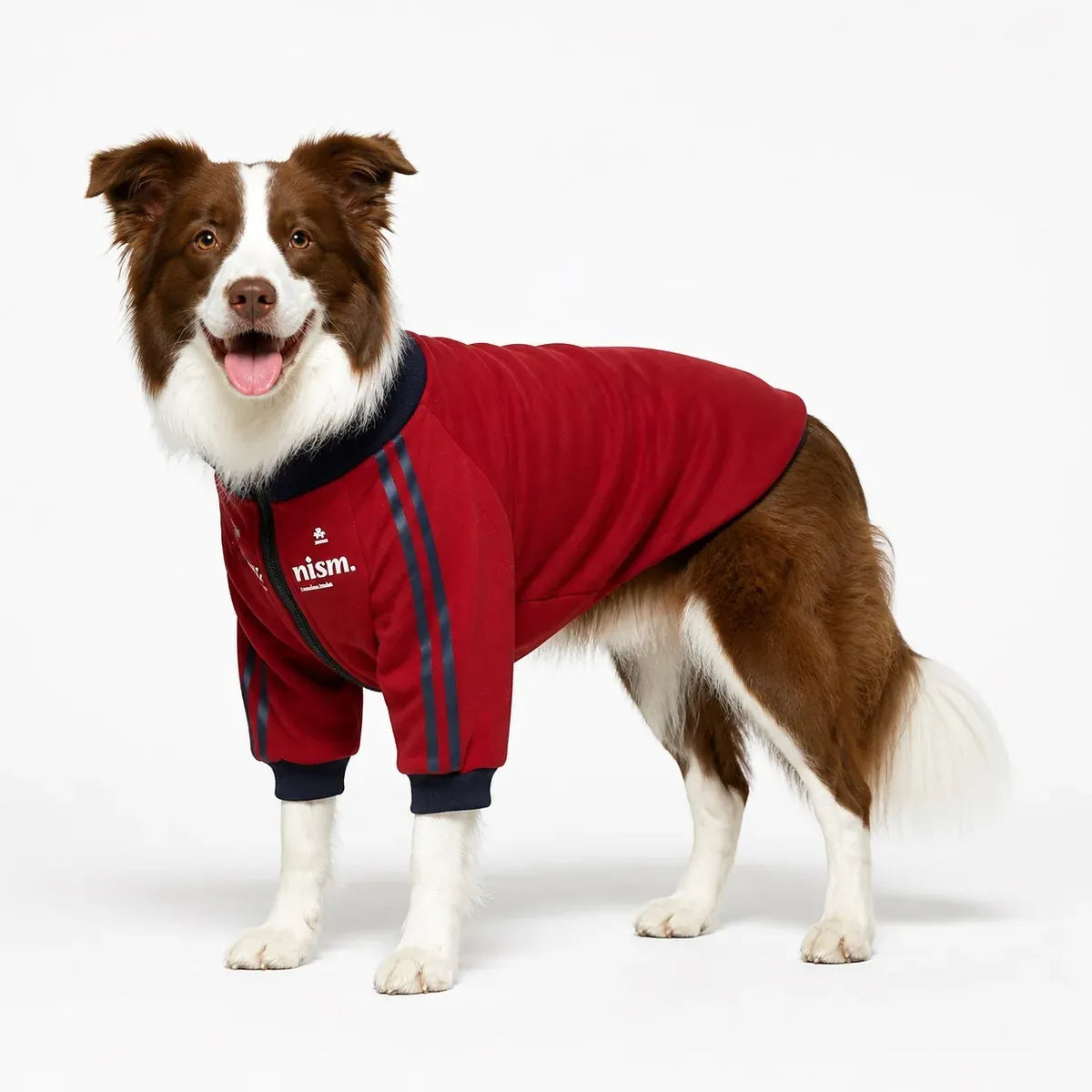 White Gray and Burgundy Dog Coat worn by a dog on a white background, view 2