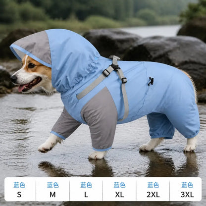 Colorblock Dog Rain Jacket worn by a dog during an everyday outing