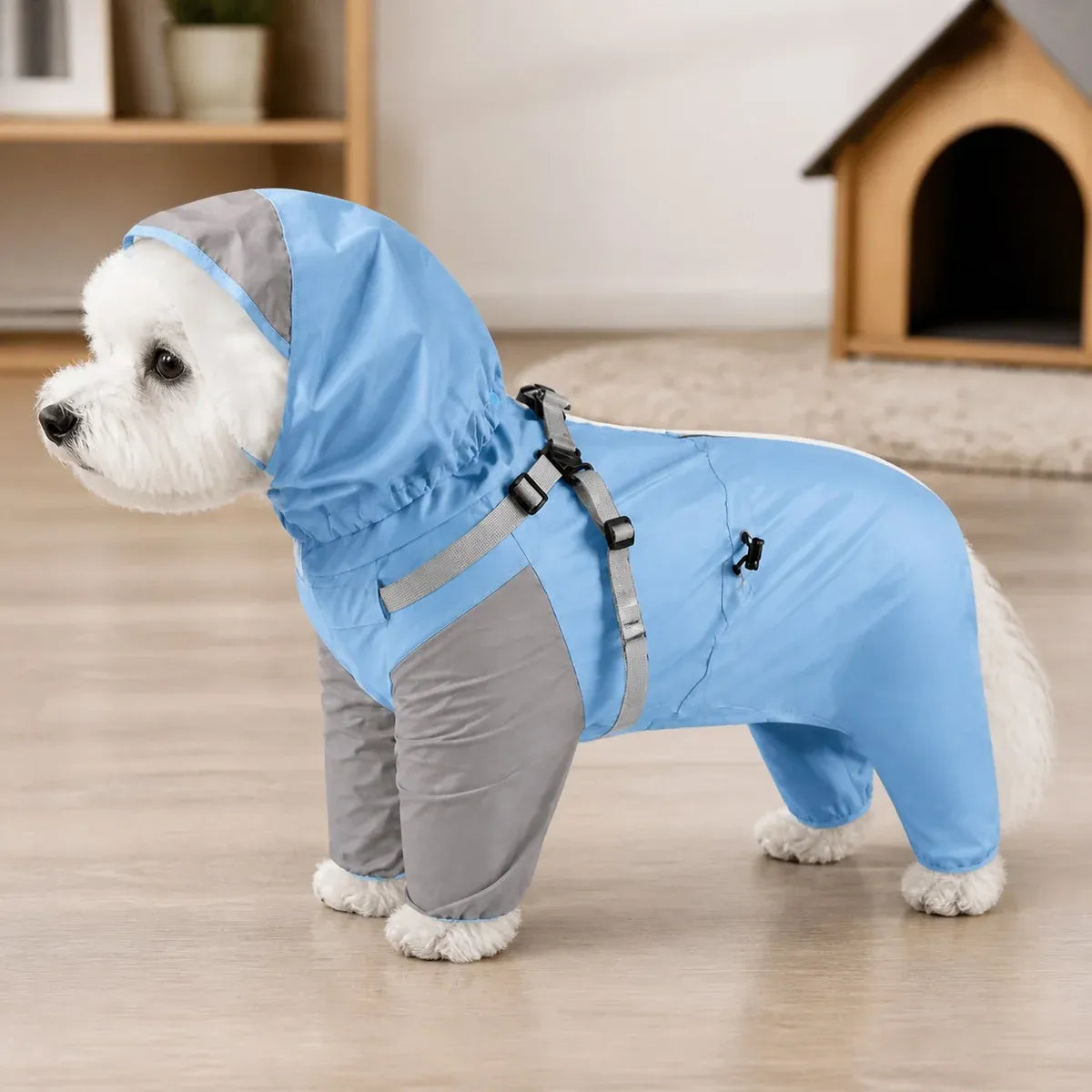 Colorblock Dog Rain Jacket worn by a dog during an everyday outing, view 2