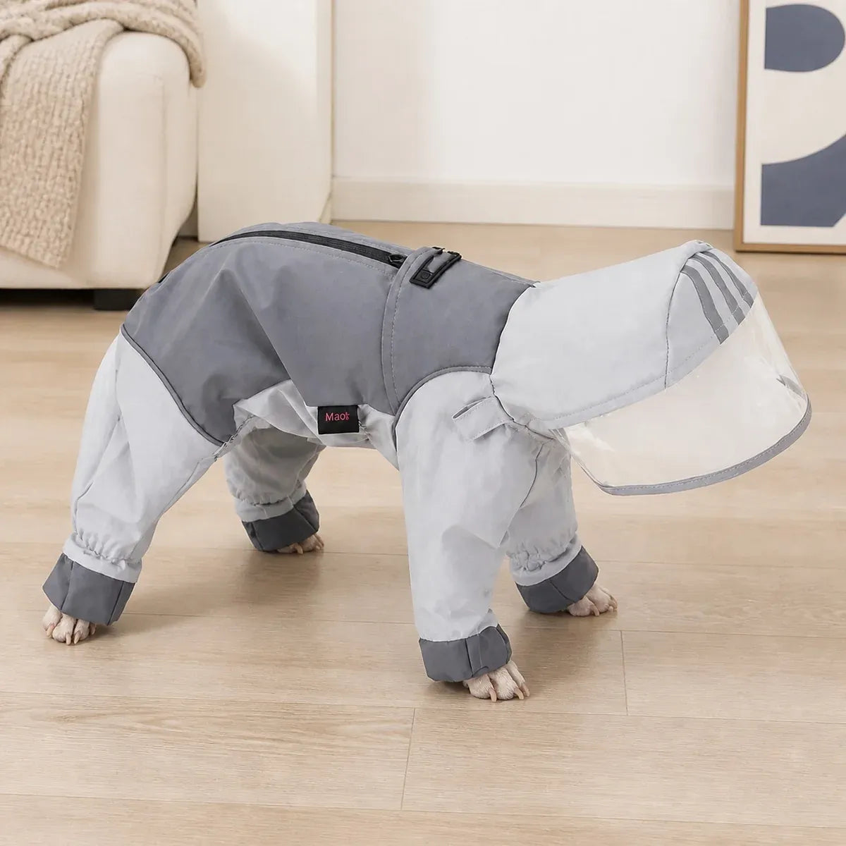 Reflective Full-Coverage Dog Raincoat worn by a dog during an everyday outing, view 5