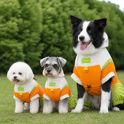 Hooded Dog Rain Jacket worn by a dog during an everyday outing, view 3