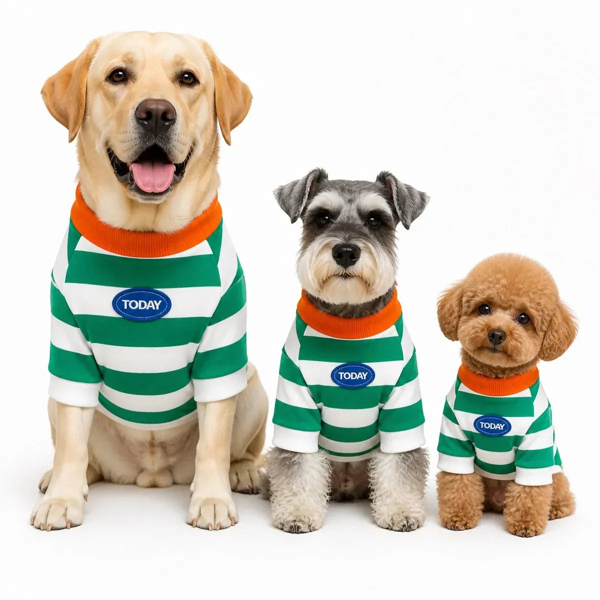 approved-1026984580152-sku-01-multi-breed-showcase-5