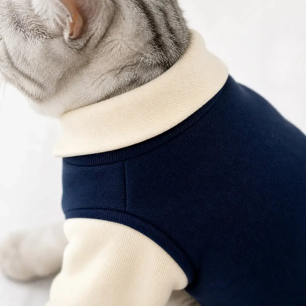Close detail of Colorblock Polo Cat Sweatshirt showing visible texture and construction