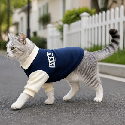 Colorblock Polo Cat Sweatshirt worn by a cat during an everyday outing