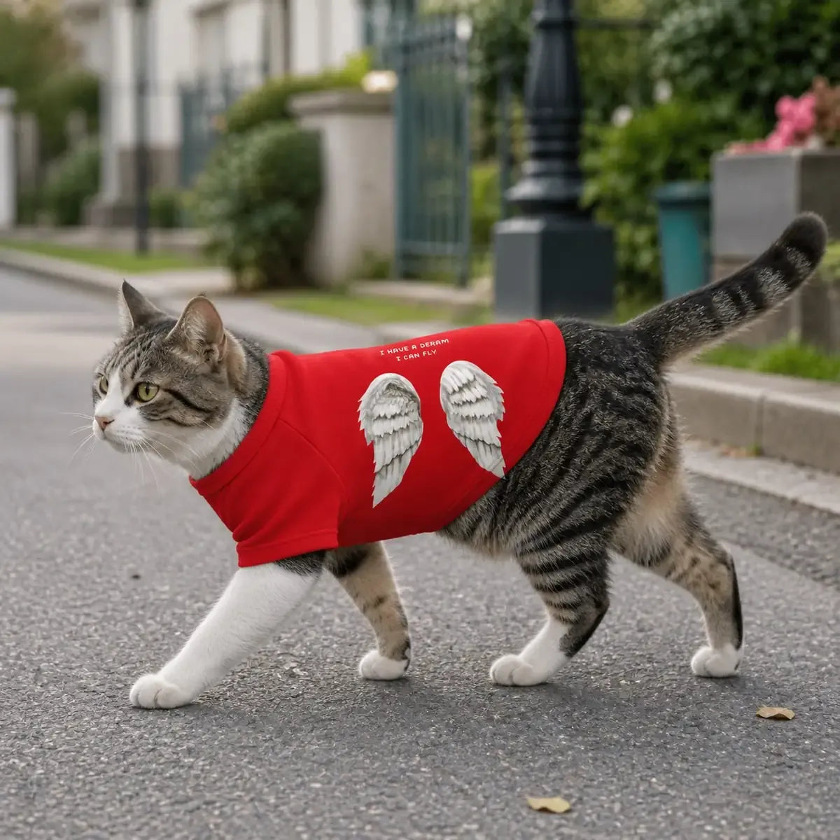 Black and Red Dog Sweatshirt worn by a dog during an everyday outing