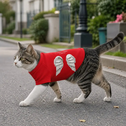 Black and Red Dog Sweatshirt worn by a dog during an everyday outing