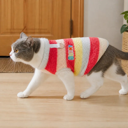 Rainbow Stripe Dog Vest worn by a dog during an everyday outing