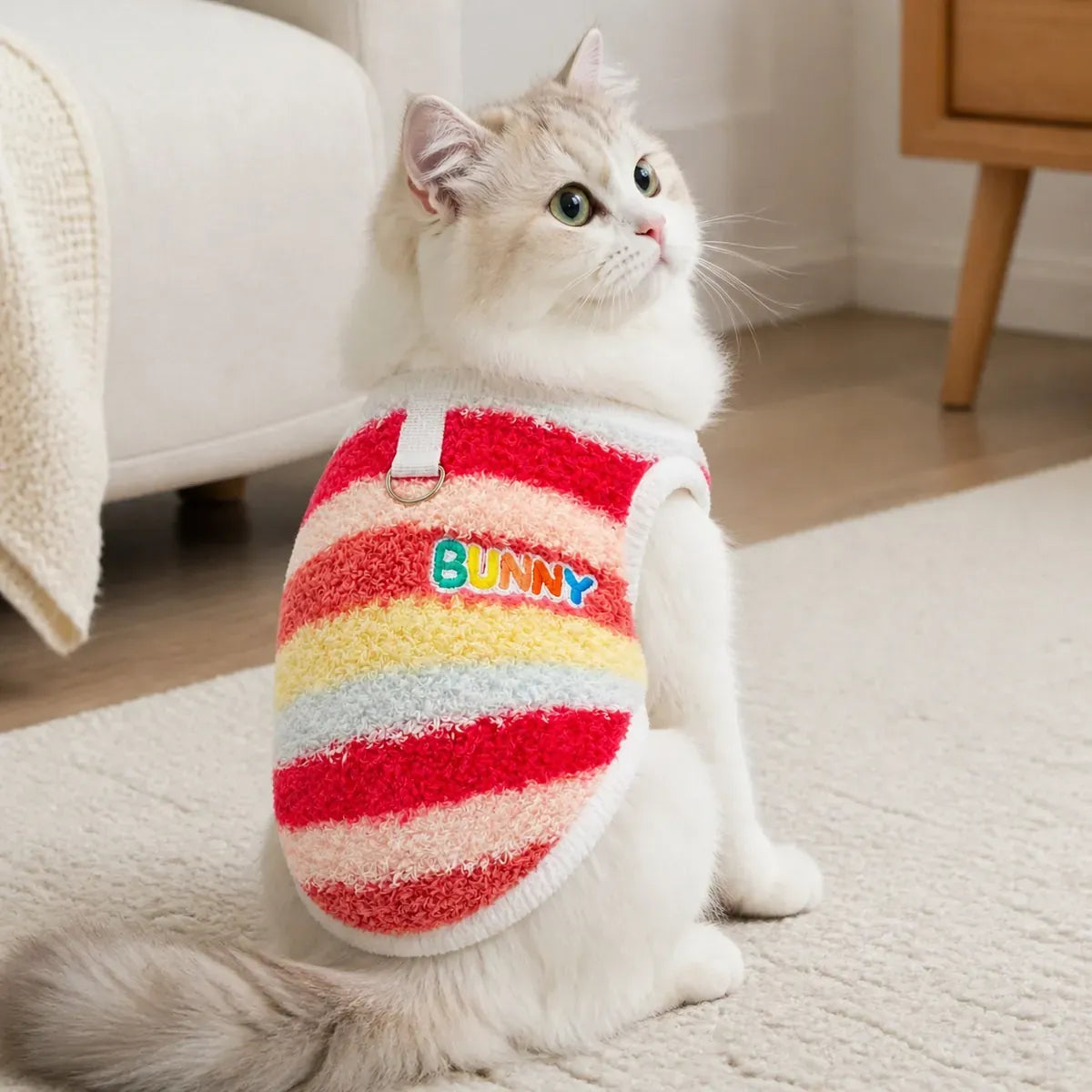 Rainbow Stripe Dog Vest worn by a dog during an everyday outing, view 2