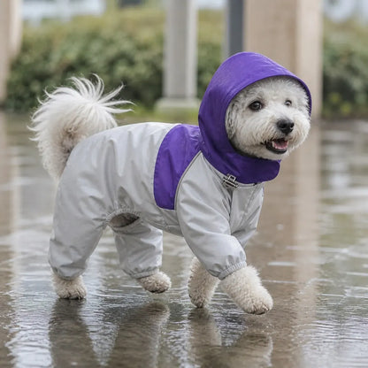 Colorblock Utility Dog Raincoat worn by a dog during an everyday outing
