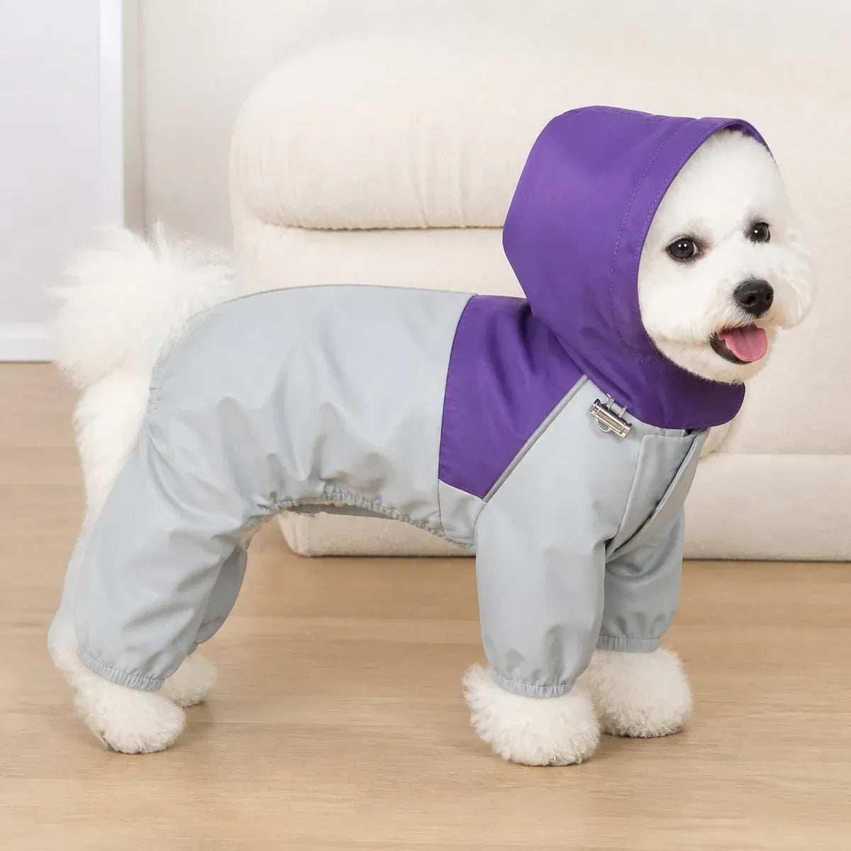 Colorblock Utility Dog Raincoat worn by a dog during an everyday outing, view 2