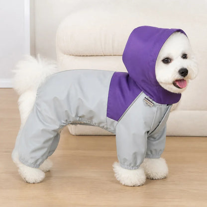 Colorblock Utility Dog Raincoat worn by a dog during an everyday outing, view 2