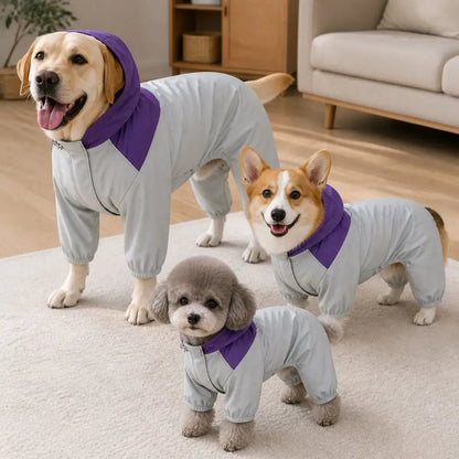 Colorblock Utility Dog Raincoat worn by a dog during an everyday outing, view 3