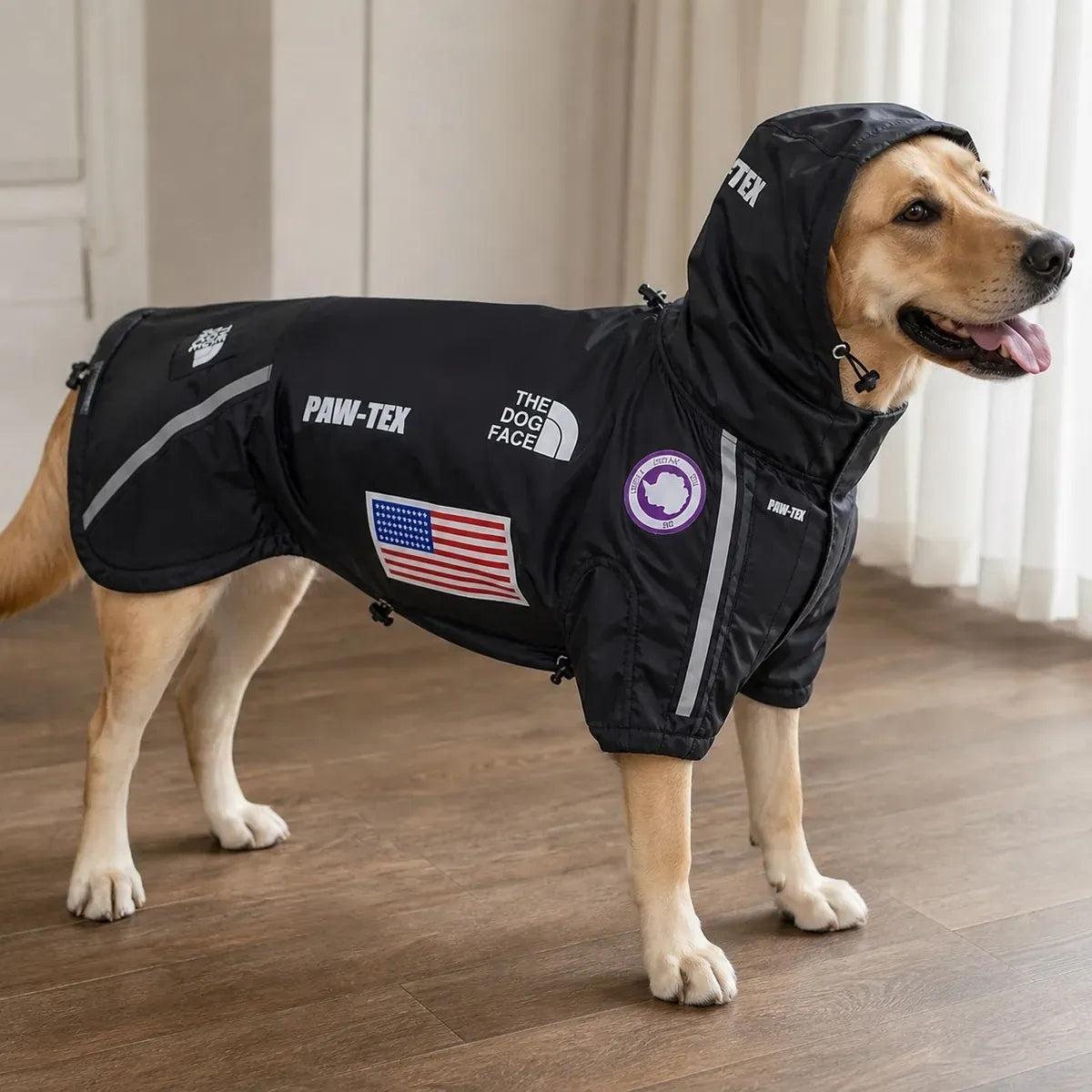 Flag Print Large Dog Rain Jacket worn by a dog during an everyday outing, view 2