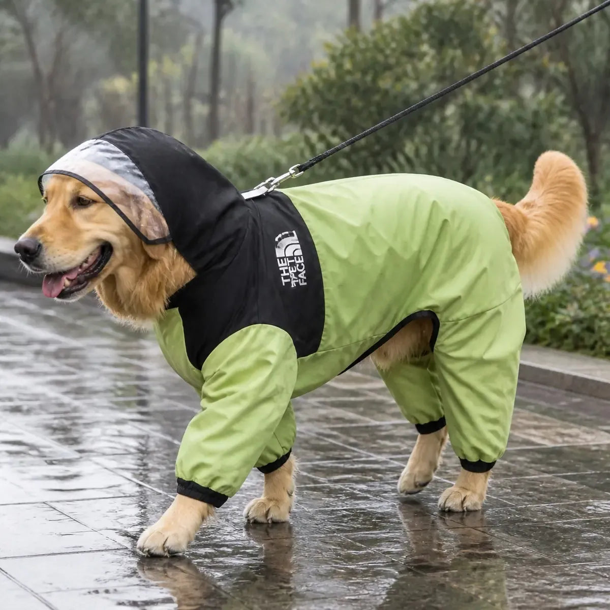 Colorblock Full-Coverage Dog Raincoat worn by a dog during an everyday outing