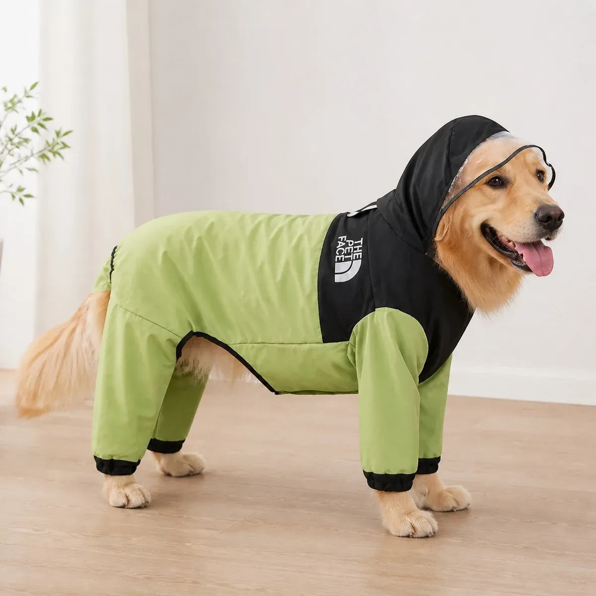 Colorblock Full-Coverage Dog Raincoat worn by a dog during an everyday outing, view 2