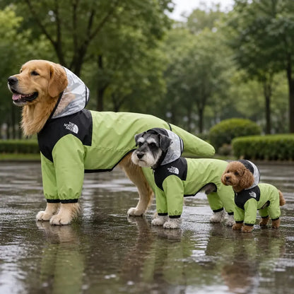 Colorblock Full-Coverage Dog Raincoat worn by a dog during an everyday outing, view 3