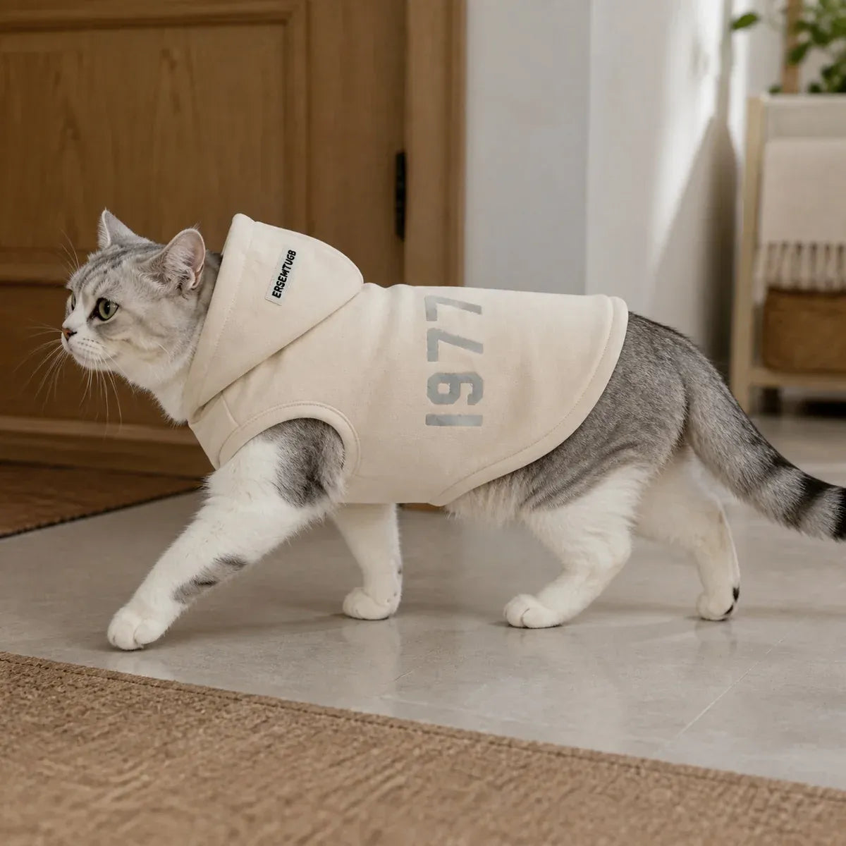 Hooded Fleece Cat Sweatshirt worn by a cat during an everyday outing