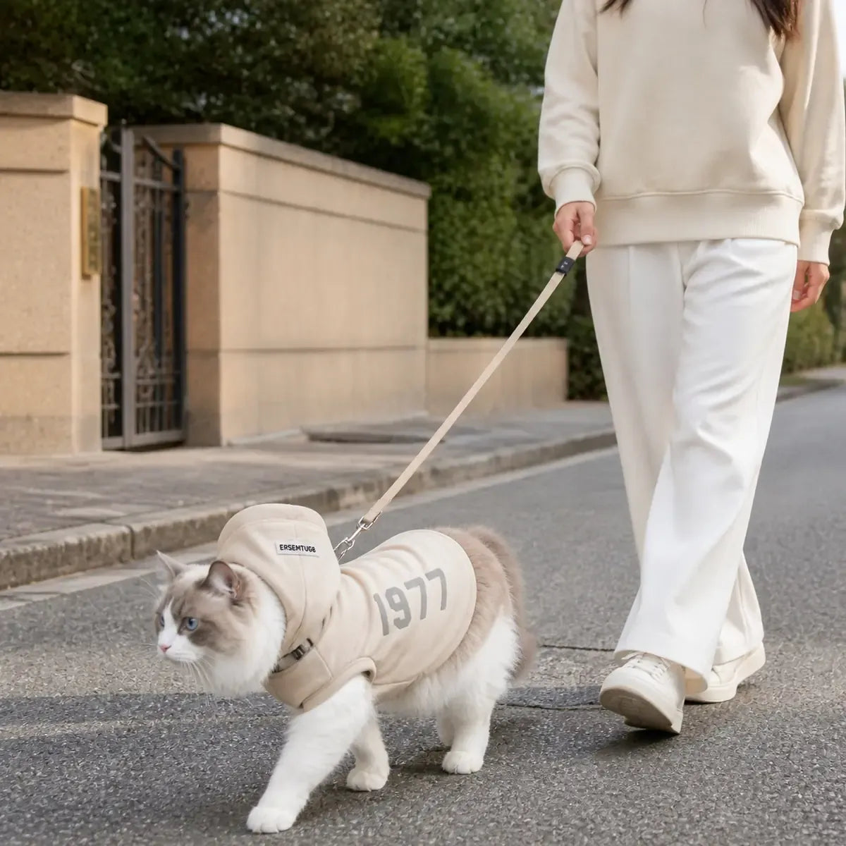 Hooded Fleece Cat Sweatshirt worn by a cat during an everyday outing, view 3