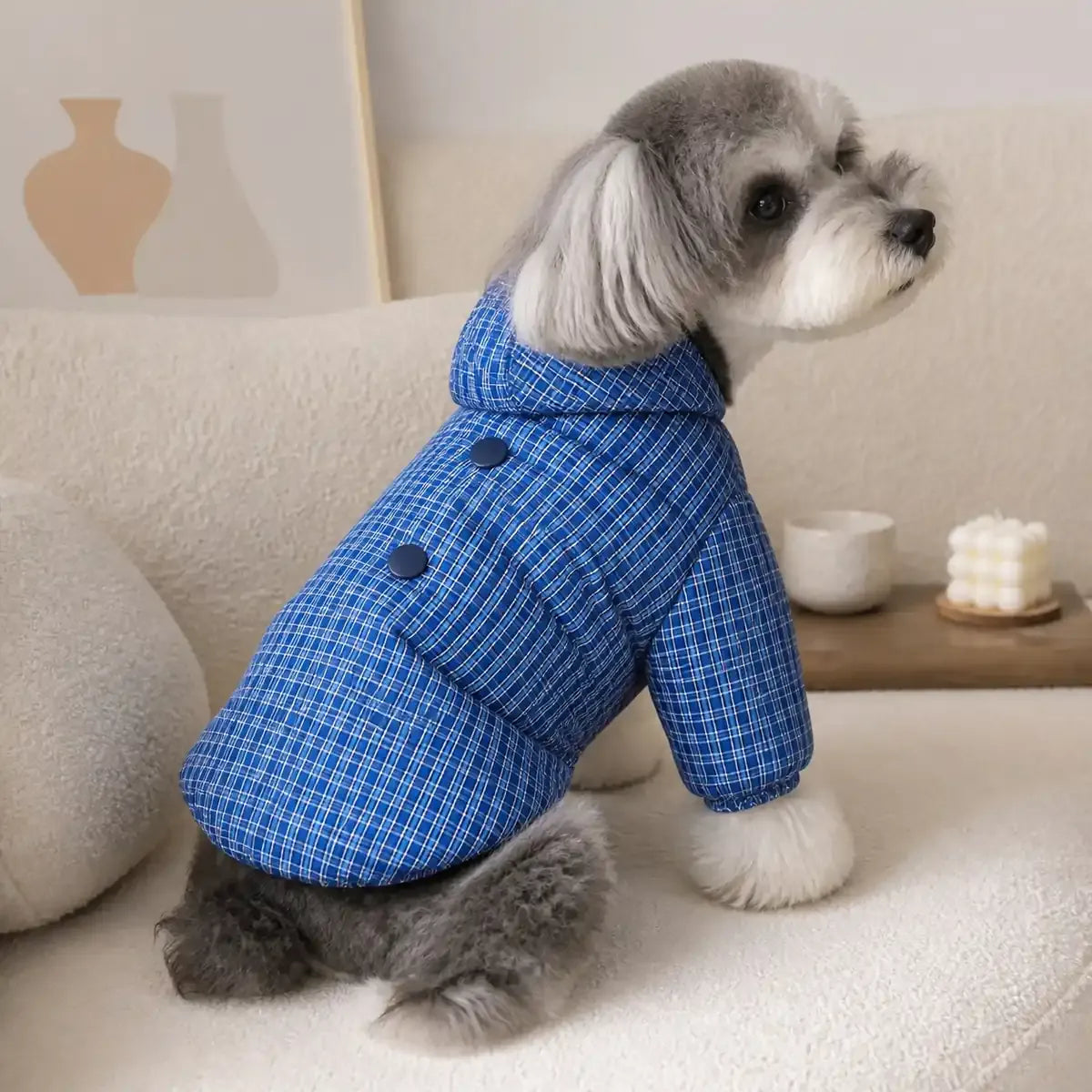 Blue Plaid Dog Puffer Coat worn by a dog in an indoor everyday setting