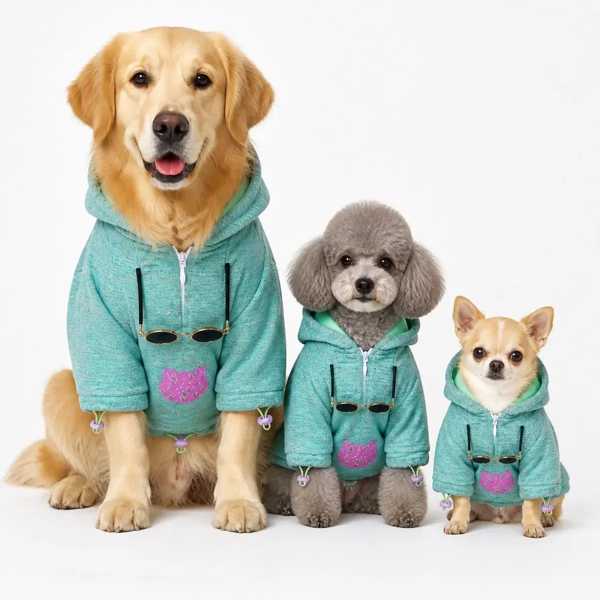 approved-959066901379-sku-01-multi-breed-showcase-5