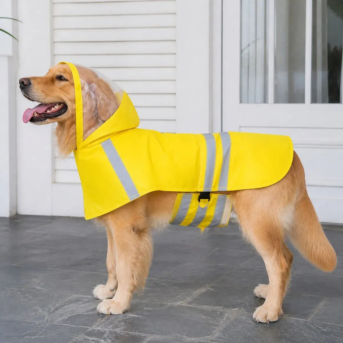 Reflective Hooded Dog Raincoat worn by a dog during an everyday outing, view 2