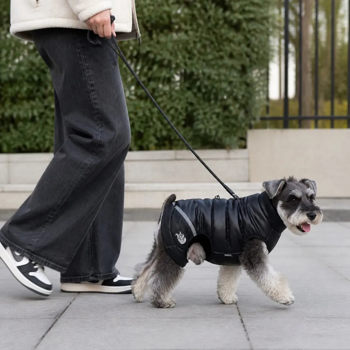 Padded Waterproof Dog Coat worn by a dog during an everyday outing, view 3