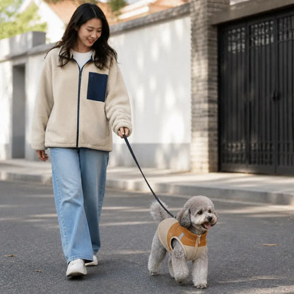 Water-Resistant Padded Dog Coat worn by a dog during an everyday outing, view 3