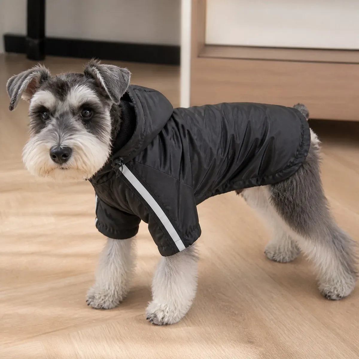 Reflective Outdoor Dog Rain Jacket worn by a dog during an everyday outing, view 2