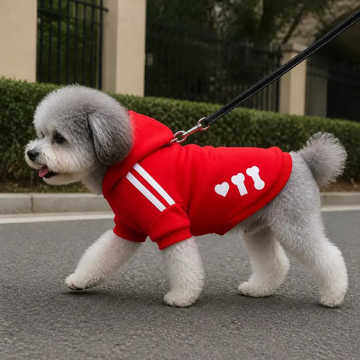 Fleece Dog Sweatshirt worn by a dog during an everyday outing