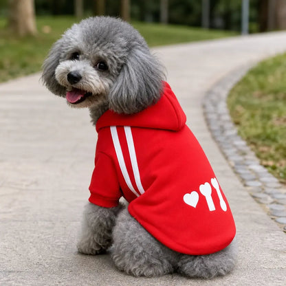 Fleece Dog Sweatshirt worn by a dog during an everyday outing, view 2