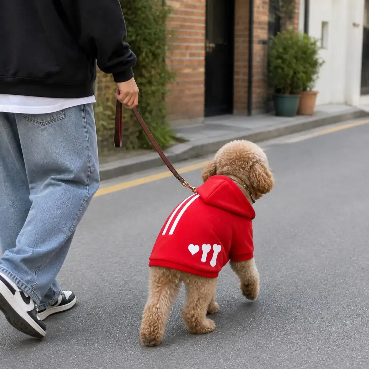 Fleece Dog Sweatshirt worn by a dog during an everyday outing, view 3