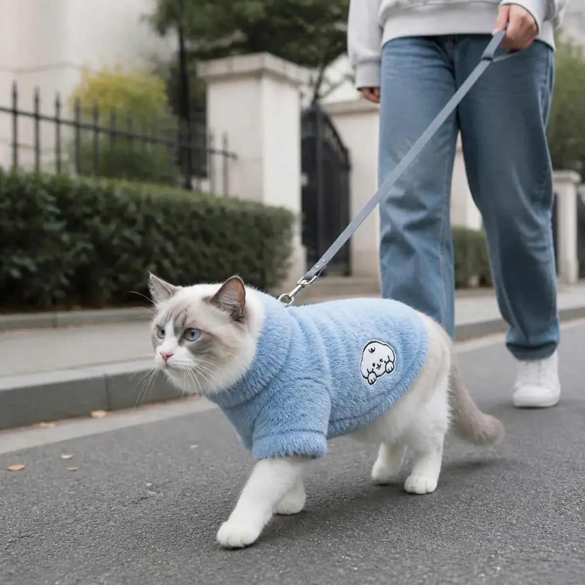 Three-Color Hooded Cat Sweatshirt worn by a cat during an everyday outing, view 3
