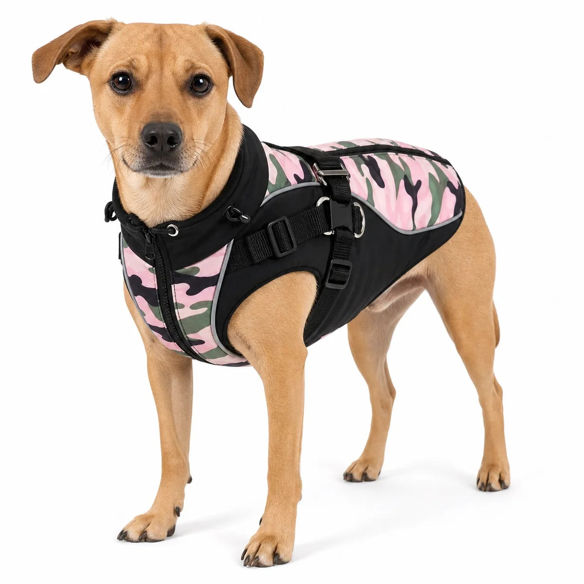 Dog wearing the pink camouflage harness vest on a white background