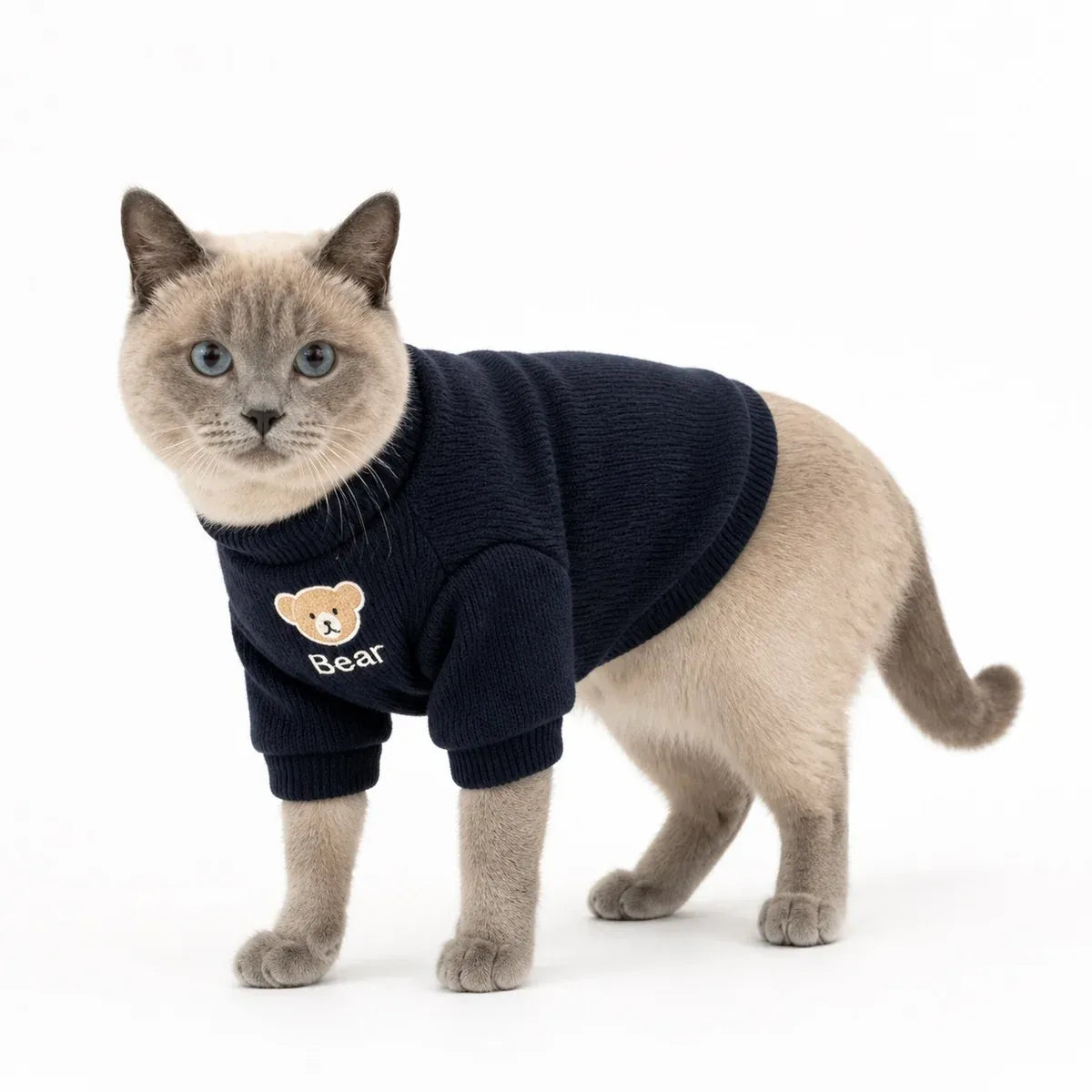 Blue fleece lined bear patch cat sweater worn by a pet on a white background