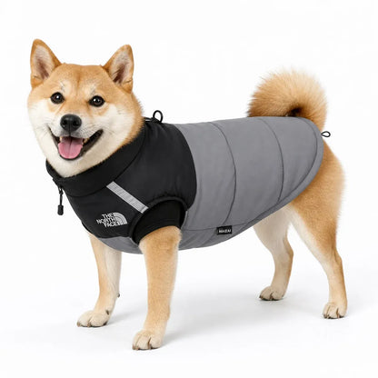 Gray Black Padded Dog Coat worn by a dog on a white background
