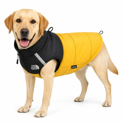 Yellow Black Padded Dog Coat worn by a dog on a white background