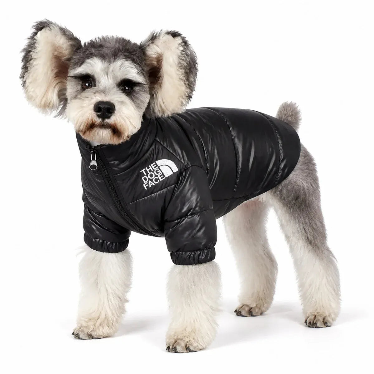 Black Padded Pet Coat worn by a pet on a white background, view 2
